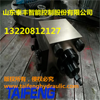 供应泰丰TCF1-H63B 型充液阀价格